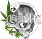   CypressHil