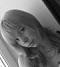   M@RIKA