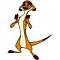   timon